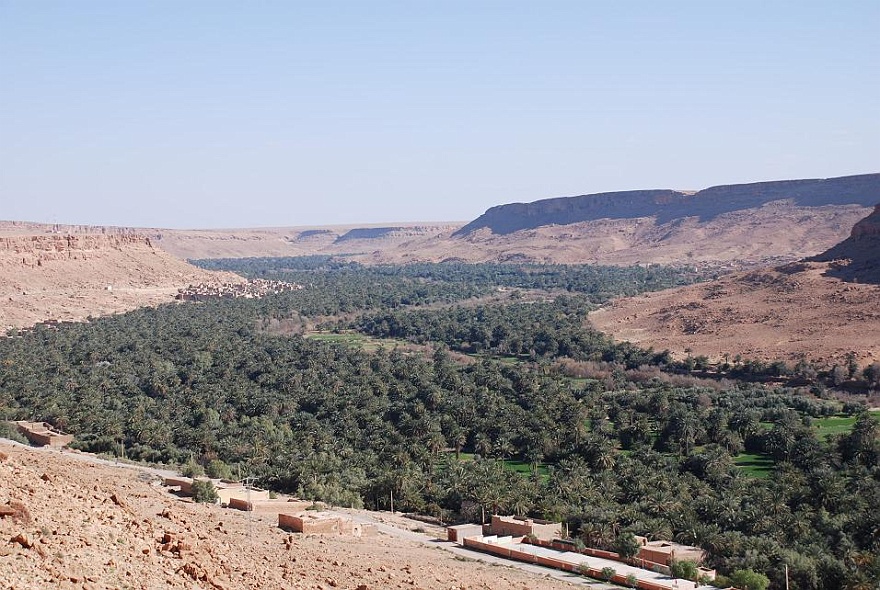 DSC_0346.JPG - canyon of river Ziz.