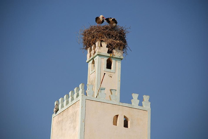 DSC_0598.JPG - Top of mosque.