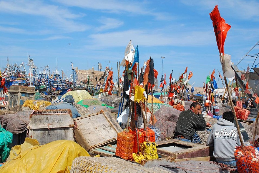 DSC_0611.JPG - Essaouira