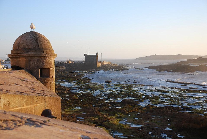 DSC_0626.JPG - Essaouira