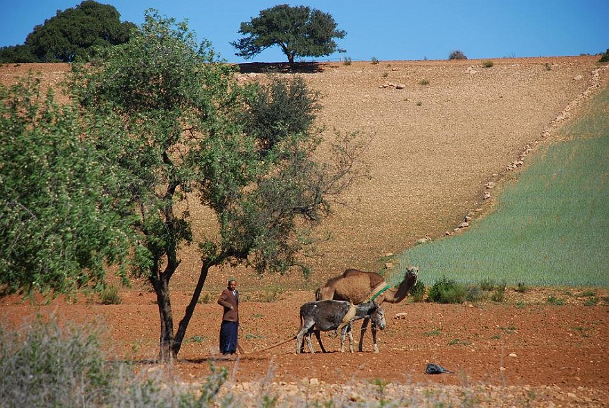 DSC_0644.JPG - supershot from Olga - best picture of Morocco!