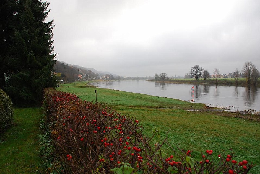 DSC_0398.jpg - at the river Elbe.