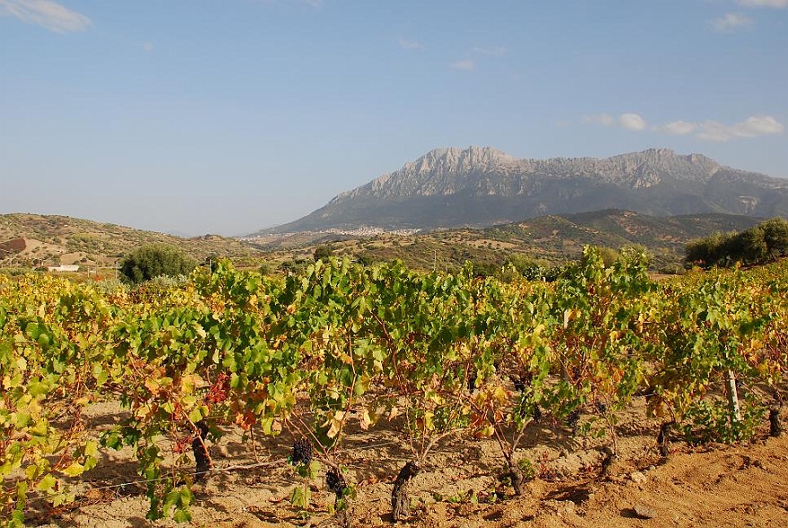 DSC_0135.JPG - graves and mountains