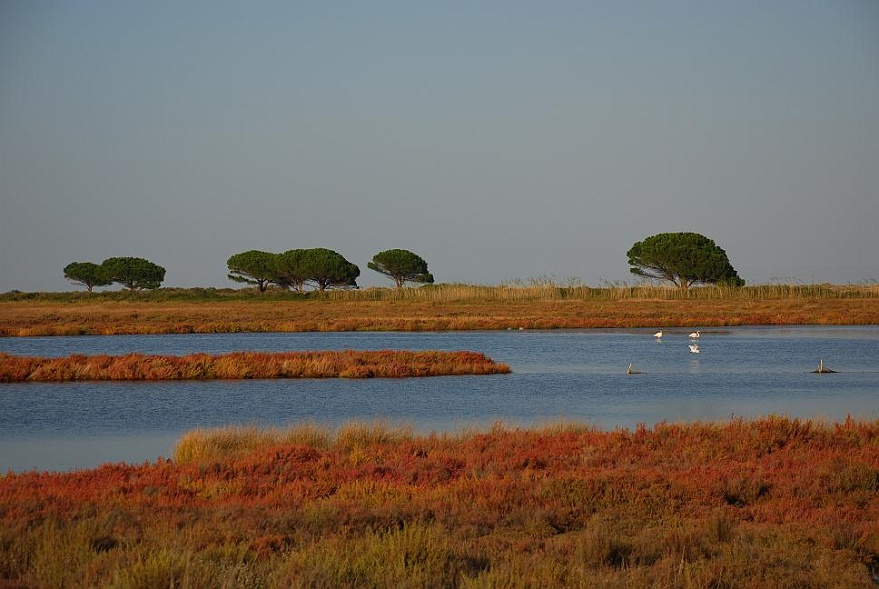 DSC_0144.JPG - small river and flamingos