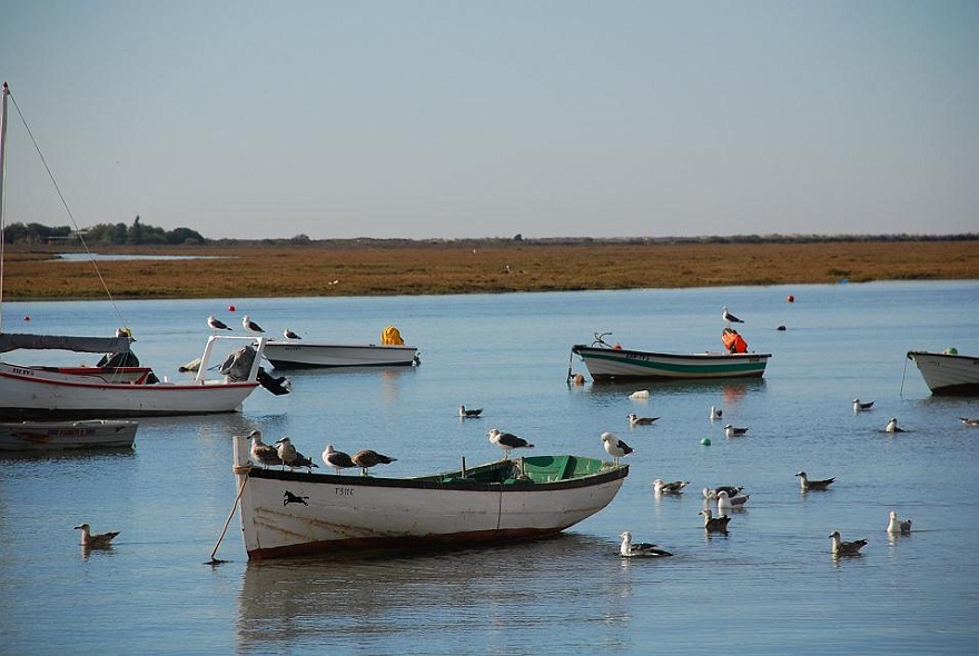 DSC_4623.JPG - coast at national park "Ria Formosa"