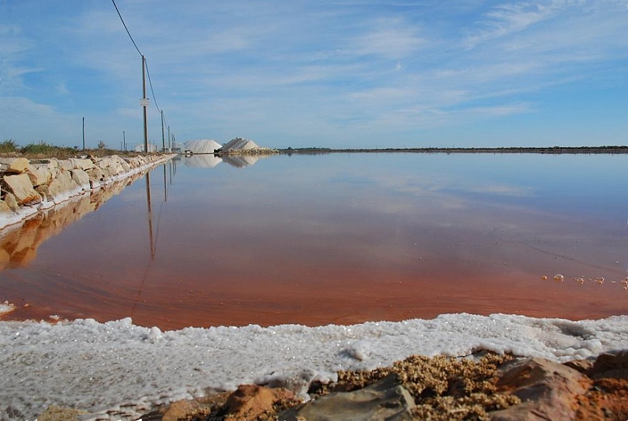 DSC_4627.JPG - on the way to Tavira - salt mine