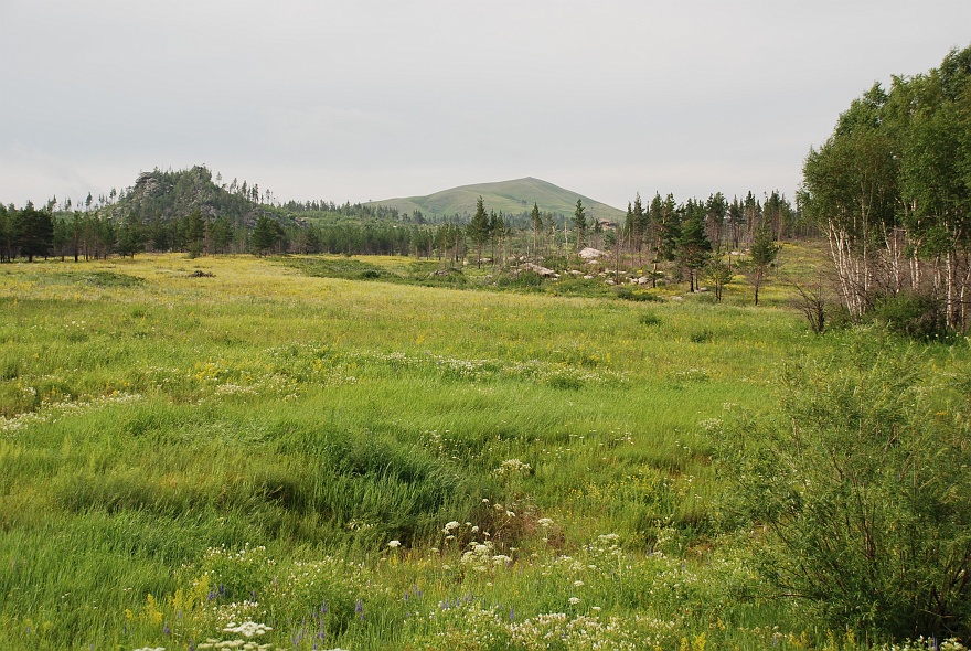 DSC_0654.JPG - Altai mountains