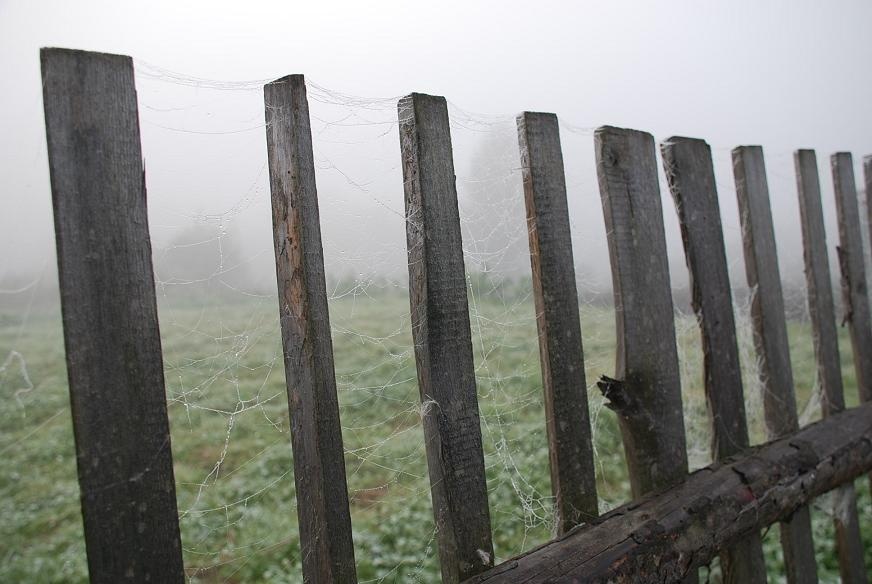 DSC_0423.JPG - At the fence.