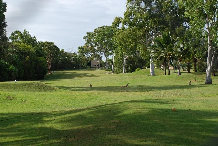 DSC_0409.JPG - beim Golf. Aber nur, wenn es nicht so hei ist, da es einem die...