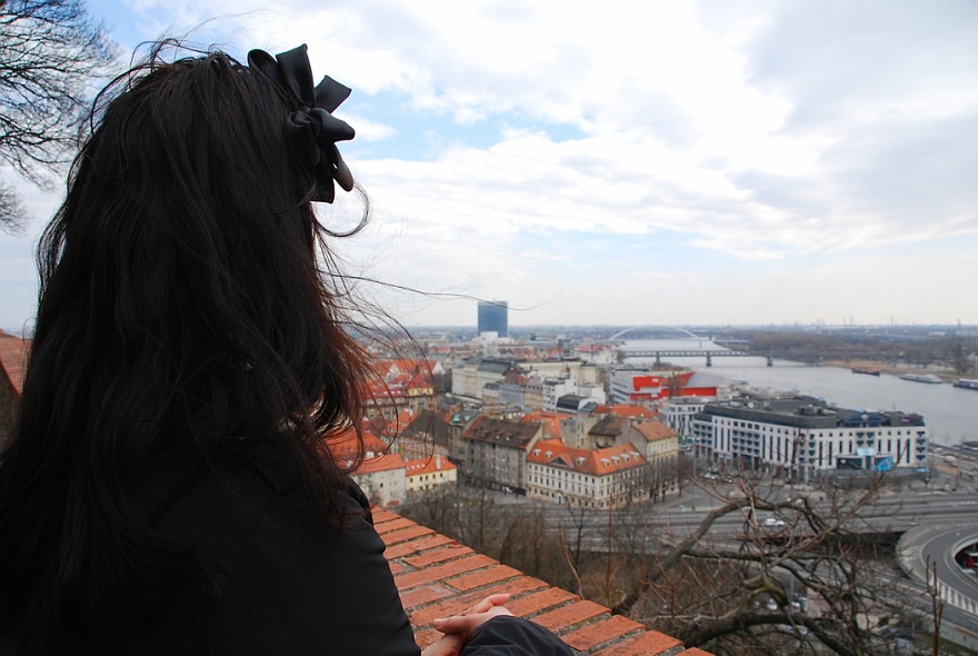 DSC_8573.JPG - Blick von der Burg auf die Donau.