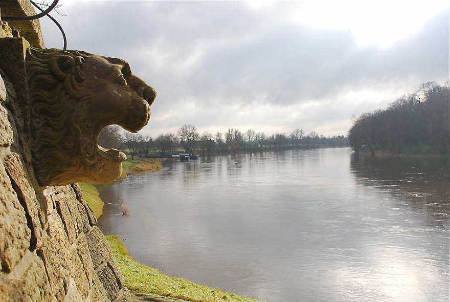 DSC_0410.jpg - Lwenkopf an der Schutzmauer von Schloss Pillnitz.