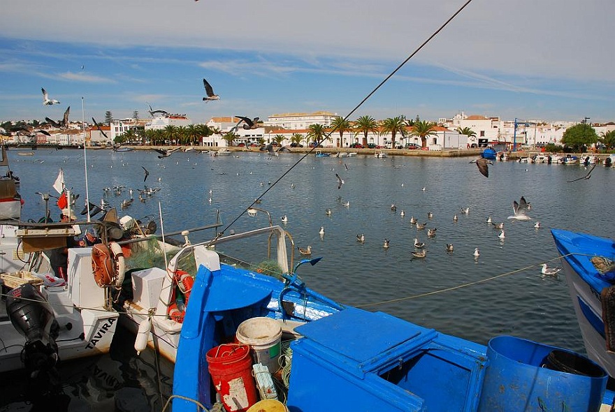 DSC_4629.JPG - Fischerhafen von Tavira - 25km vor Spanien