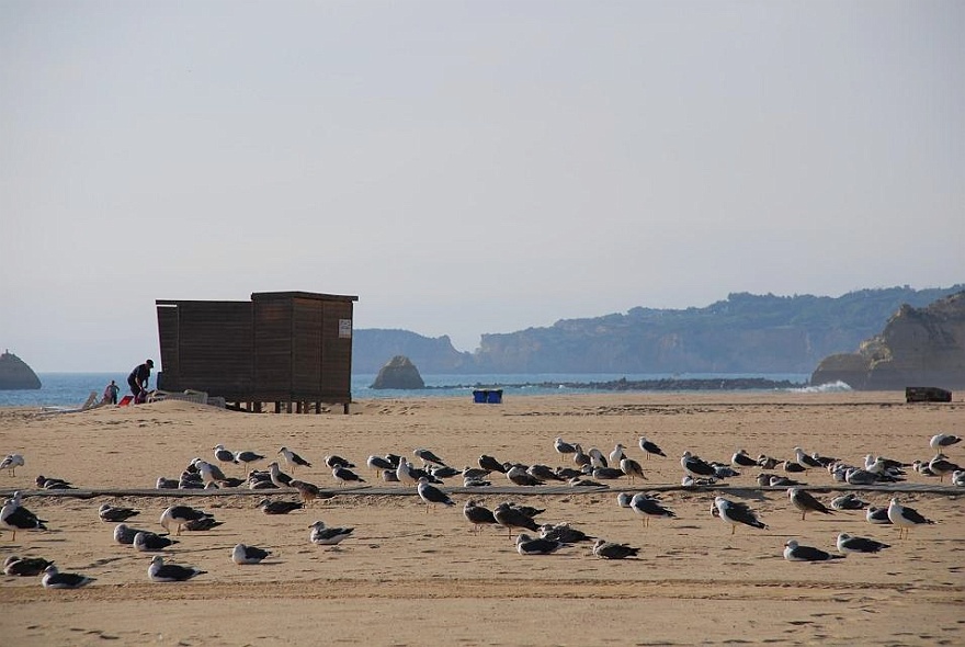 DSC_4682.JPG - Im November ist es am Strand sehr friedlich...