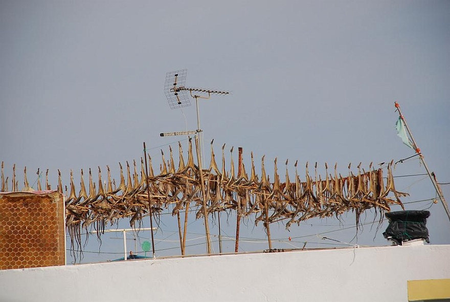 DSC_4745.JPG - Trockenfisch auf dem Dach und...