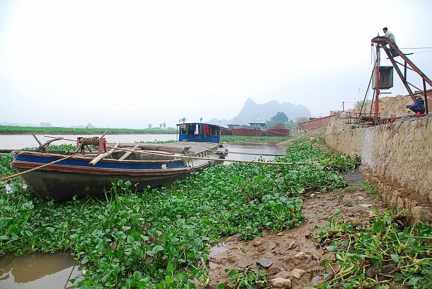 DSC_1470.JPG - Am Fluss Ngo Dong in Tam Coc in der Nhe von Ninh Binh - das frag ich spter ab!!!
