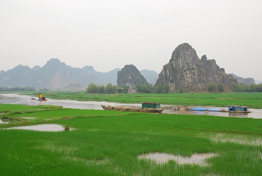 DSC_1475.JPG - Spter liegen sie dann tief im Wasser, im Ngo Dong in Tam Coc in der Nhe von Ninh Binh.