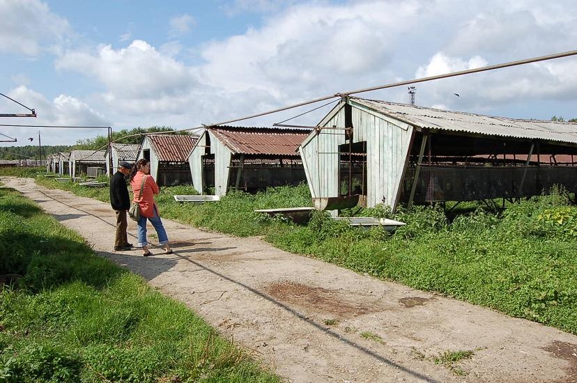 Fuchsfarm.JPG - Eine Fuchsfarm, auf der momentan...