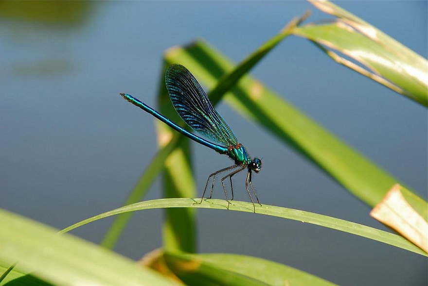 DSC_0026_Ret.JPG - Bei uns am Fluss