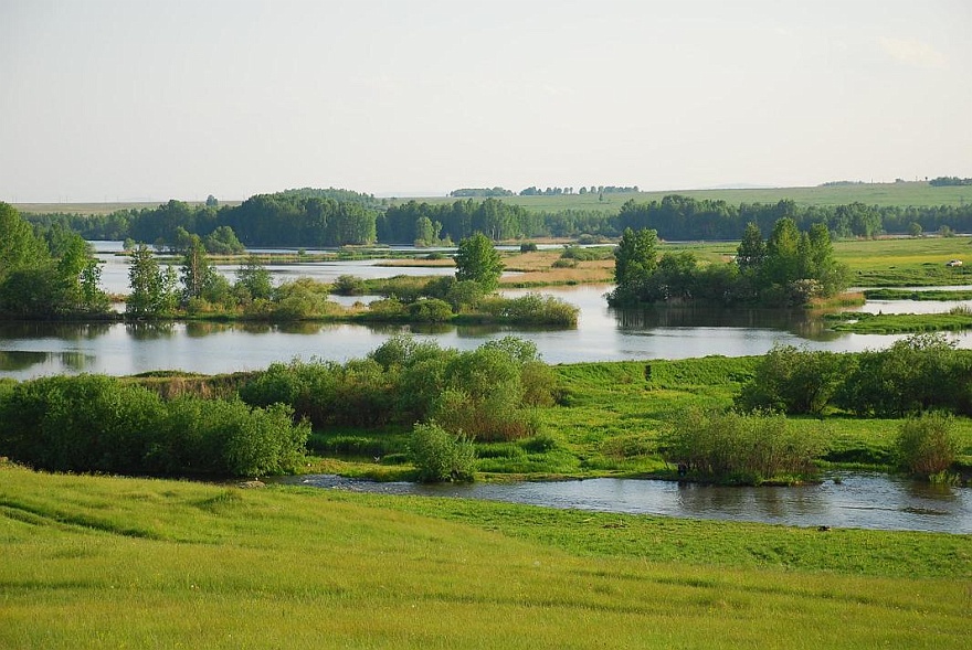 DSC_1139.JPG - BINGI - unser Flussdelta