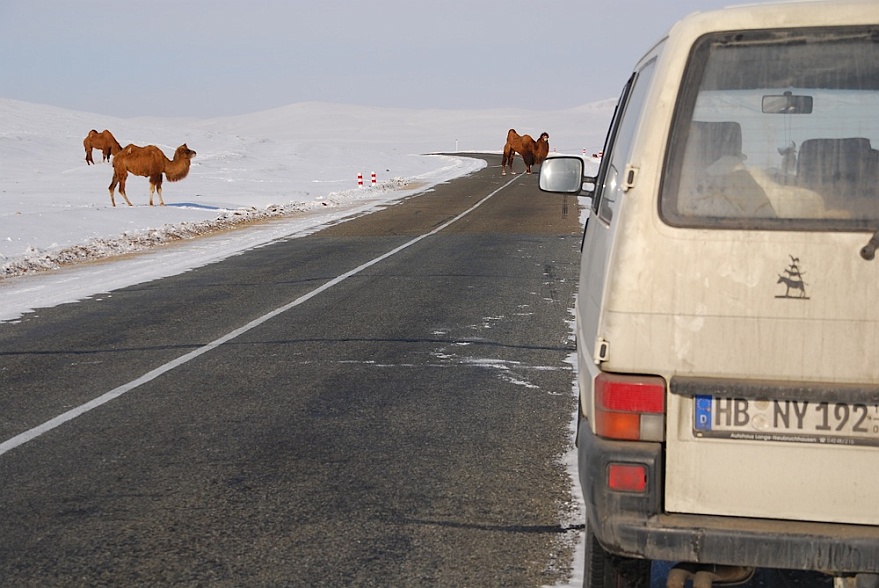 DSC_8359.JPG - Mongolische Strassensperre.