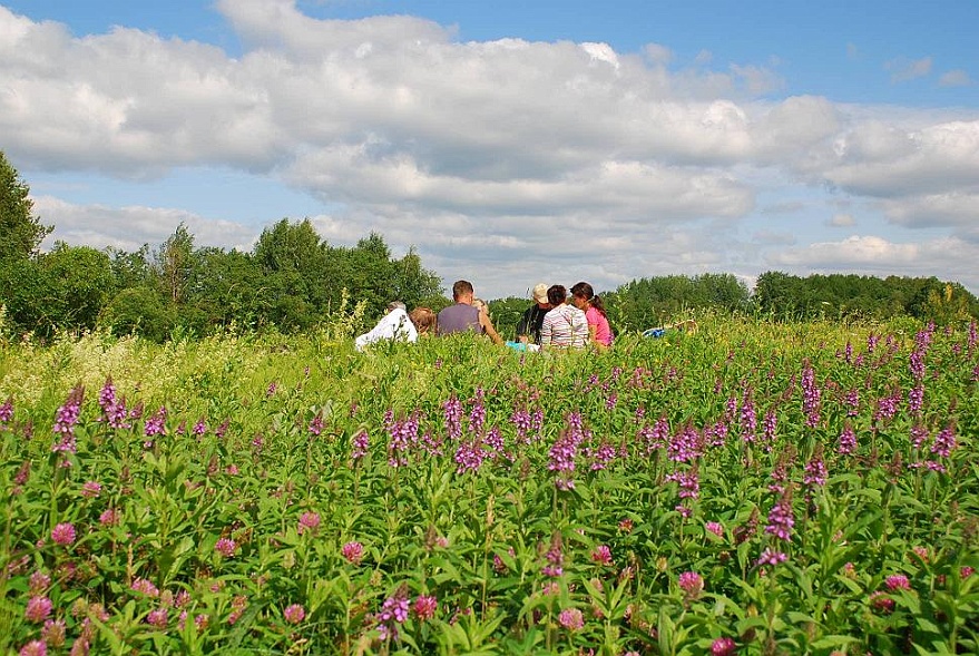 DSC_2229.JPG - Picknick