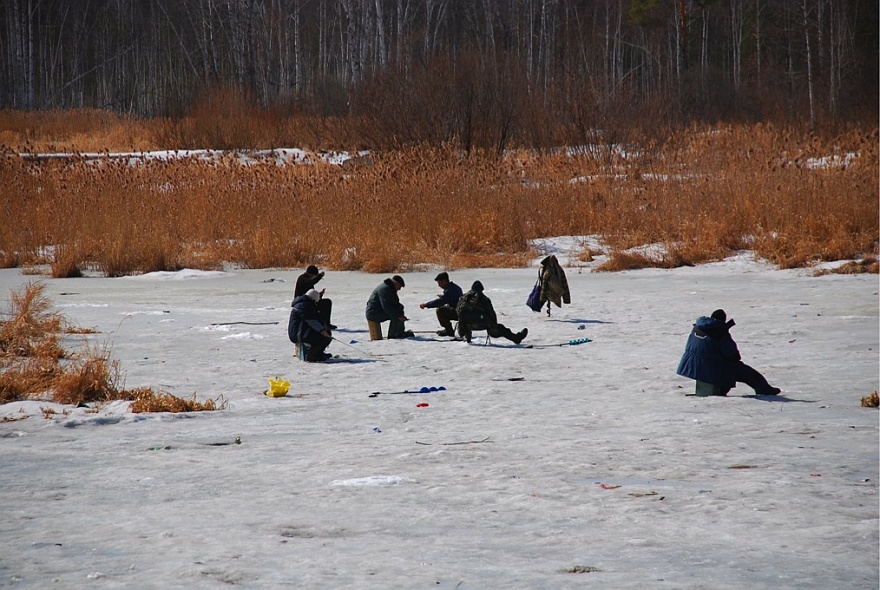 DSC_5253.JPG - Eisfisher auf unserem Fluss.