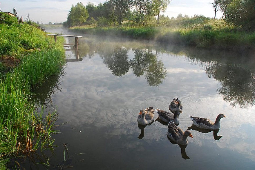 DSC_2883.JPG - Endlich wieder im Wasser.