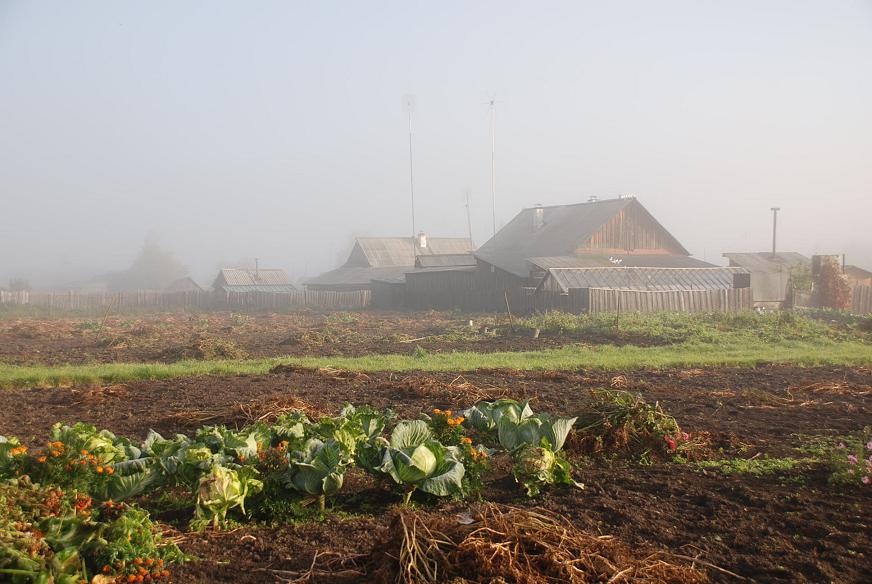 DSC_0397.JPG - Morgens ist es am schoensten zum fotografieren. Staendig werde ich von meinem neuen "Assistenten"...